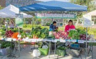 Fresh International Gardens produce grown in Mountain View.